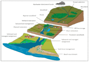 Flood Moderation And Drought Erradication